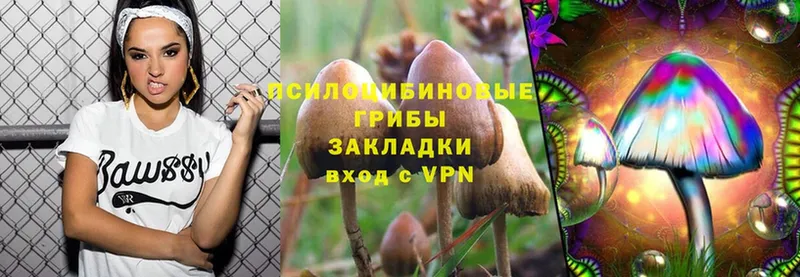 Галлюциногенные грибы Cubensis  Калининск 